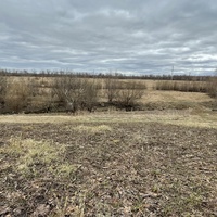 По улице Свободы