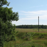 Улейский овраг, роща