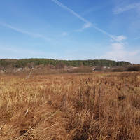 Добрый бор (малое село) , вид из за Щары