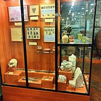 Центральный музей Тавриды — музей истории и природы Крыма. Экспозиция «Прошлое Тавриды».