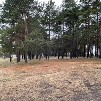 Парк