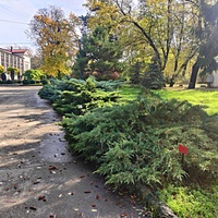 Ботанический сад им. Н. В. Багрова Таврической академии КФУ им. В. И. Вернадского (бывшего Таврич. нац. университета). Один из крупнейших парков города, основан в 1795 г. акад. П. С. Палласом. Бывшее название Салги́рка парк получил от реки Салгир.