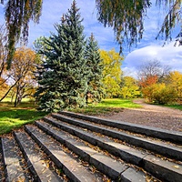 Ботанический сад им. Н. В. Багрова Таврической академии КФУ им. В. И. Вернадского (бывшего Таврич. нац. университета). Один из крупнейших парков города, основан в 1795 г. акад. П. С. Палласом. Бывшее название Салги́рка парк получил от реки Салгир.