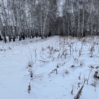Дорога бывшего Сибирского тракта