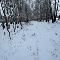 Впереди прямая дорога тракта