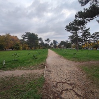 Парк имени Юрия Гагарина.