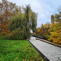 Парк имени Юрия Гагарина.