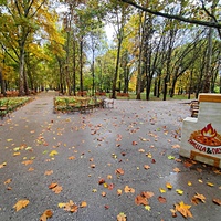 Парк имени Юрия Гагарина.