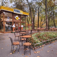 Парк имени Юрия Гагарина.