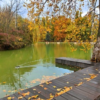 Парк имени Юрия Гагарина.