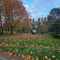Парк имени Юрия Гагарина.