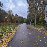 Парк имени Юрия Гагарина.