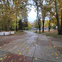 Парк имени Юрия Гагарина.