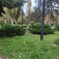 Парк имени Юрия Гагарина.