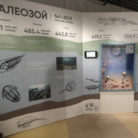 Исторический музей на улице Соборной, 22. Экспозиция «До нашей эры».