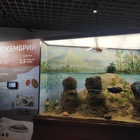 Исторический музей на улице Соборной, 22. Экспозиция «До нашей эры».