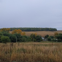 Осенний лес. Новое  Ганькино