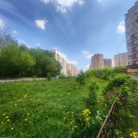 Зелёная зона вдоль Славянского проспекта.