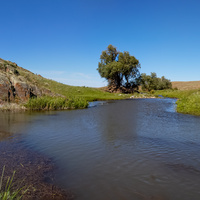 Какпатас