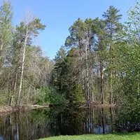 Река Большая Таборинка
