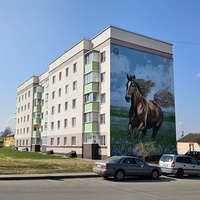 Ул. Чапаева