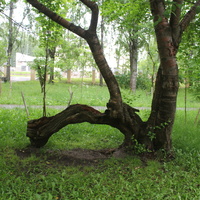В Треугольном сквере.