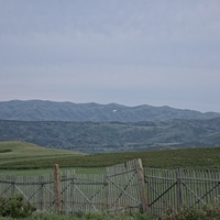 Тайынты. Калба