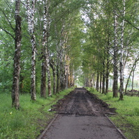 Реконструкция Молодёжной аллеи.