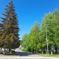 Парк Победы