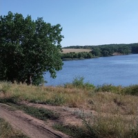 Зеленый Гай