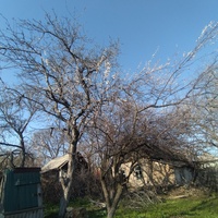 Улица Тургенева