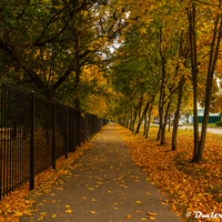 Перекресток улиц Калинина и Московской