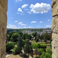 Сороки / Сорока