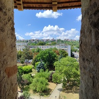 Сороки / Сорока