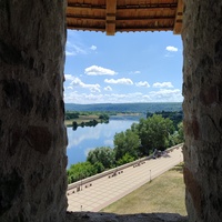 Сороки / Сорока