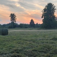 Деревня Головеньки, поле у колодца