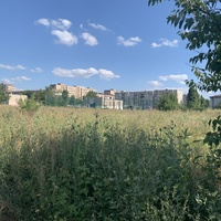 Площадка возле мастера