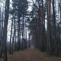 Парк
