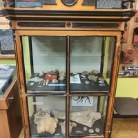 Историко-краеведческий музей. Раздел «Природа Балашихинского края».