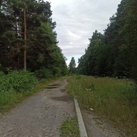 Старый парк в лесу. ул. Свердлова близ автостанции
