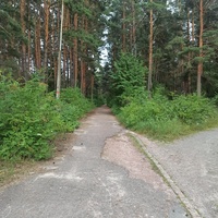 Старый парк в лесу. ул. Свердлова близ автостанции