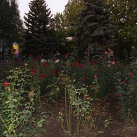 Приморск. Берег моря. База отдыха. Сентябрь 2008