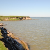 Берег Обского моря