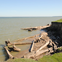 Берег Обского моря