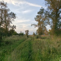 Улица