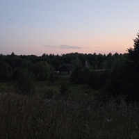 Лесные шигали