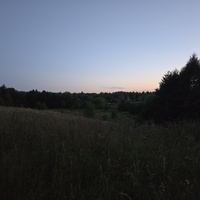 Лесные шигали