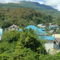 Село Кривенковское.