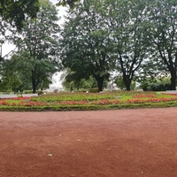 Клумба в Троицко-Петровском сквере