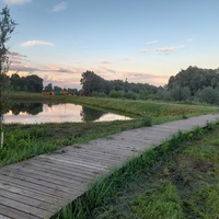 Парк "Шишкинские пруды"